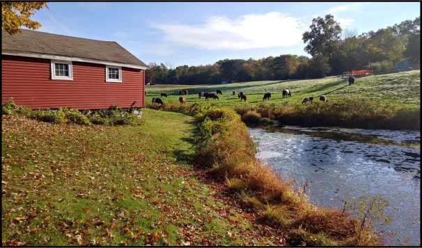 Cedar Hill Farm | Orange CT